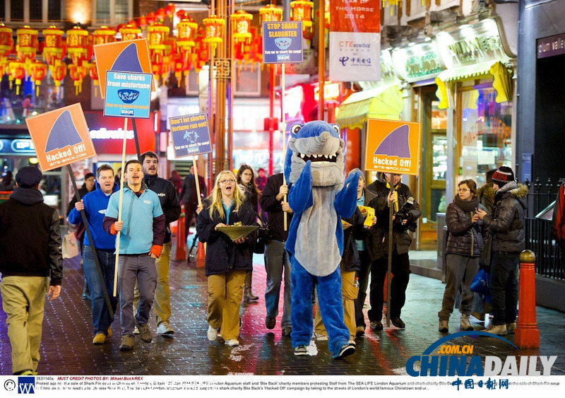 动物保护组织搭马年顺风车 唐人街示威抗议食用鲨鱼翅