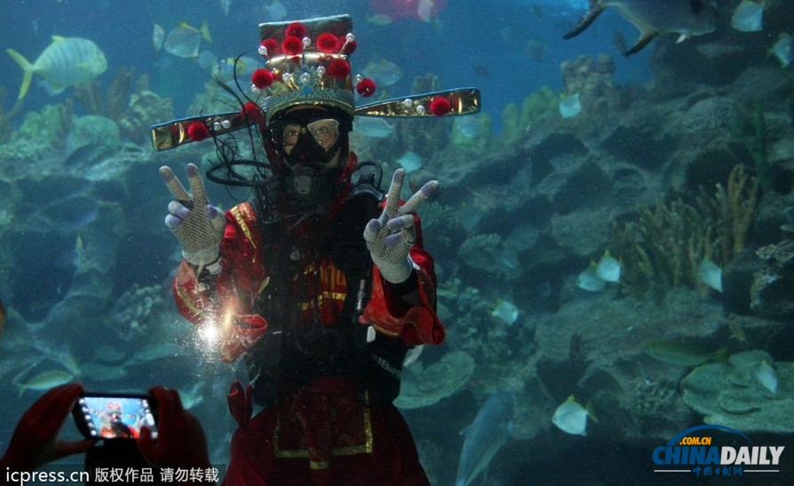 水下舞狮财神拜年 马来西亚一水族馆喜迎中国年