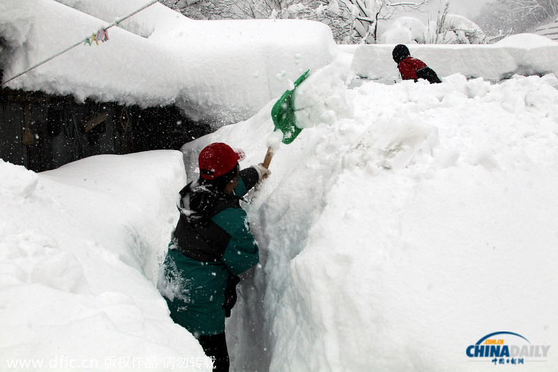 韩国暴雪持续5日 汽车被埋红绿灯遭积雪覆盖