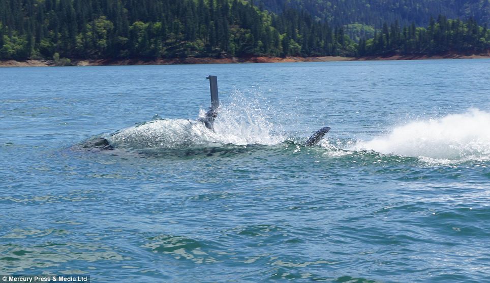 体验跃出水面快感！美商家用战机改装“机械鲨鱼”