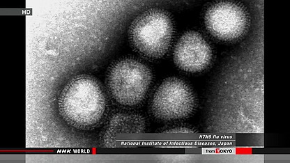 马来西亚卫生部：中国游客在马被确诊患H7N9禽流感