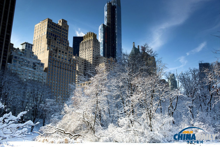 美国纽约被大雪覆盖 天空蔚蓝分外妖娆