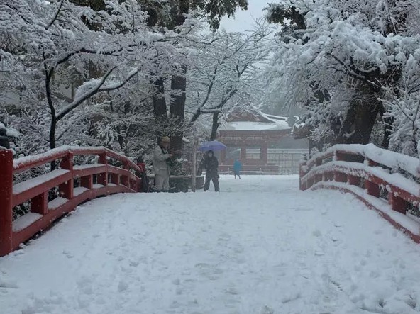 日本遭严重暴风雪袭击 19人死亡1600多人受伤