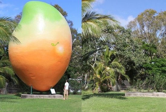 澳大利亚大胆毛贼借助机械盗走巨型芒果雕塑