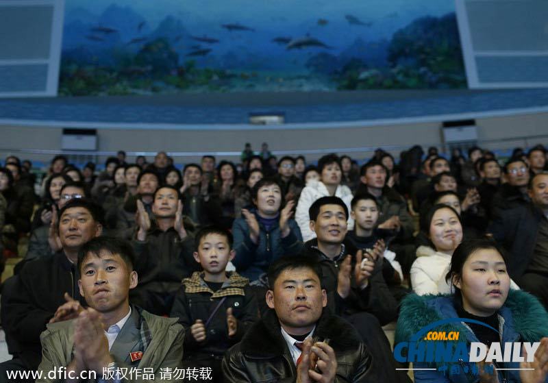 朝鲜民众观看海豚表演