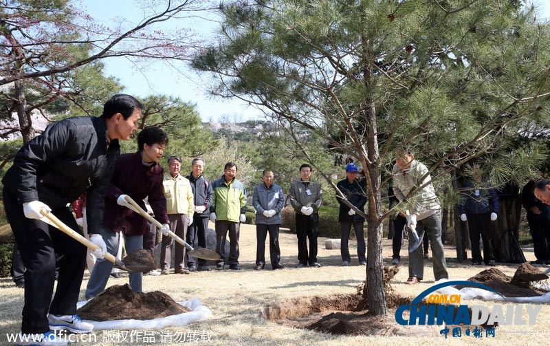 韩国总统朴槿惠亲手种树 庆祝植树节
