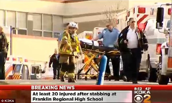 美高中发生刺伤事件 至少20名学生受伤