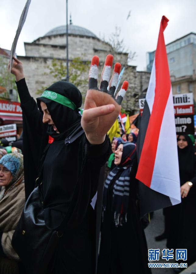 伊斯坦布尔举行游行抗议埃政府死刑裁决
