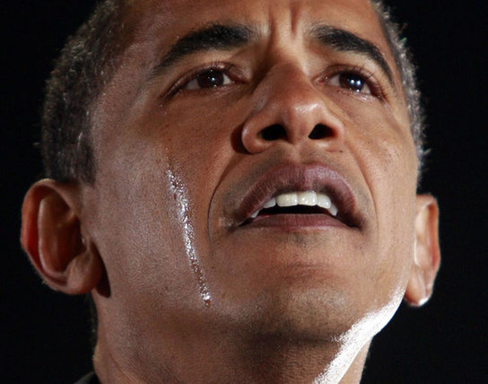 美媒称赞奥巴马变革总统 成绩堪比里根