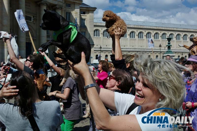 巴黎民众牵狗游行 为汪星人争取权利