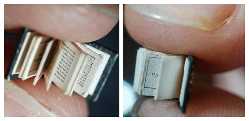 澳展出世界最小手工书 小于指甲盖