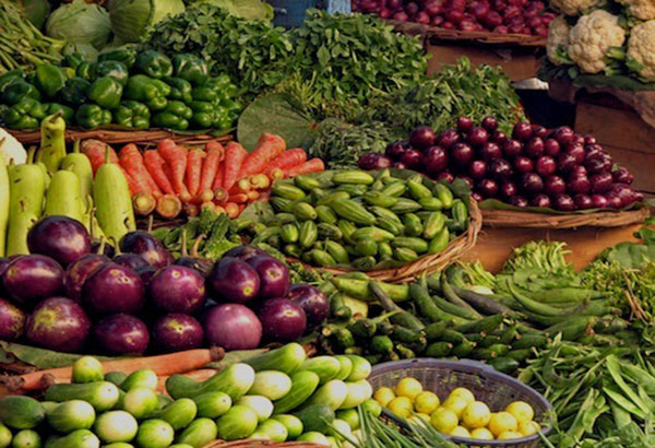菲律宾即将推出美国蔬菜 缓解国内蔬菜供应短缺