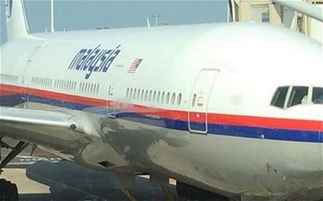 马航MH17乘客起飞前拍照：如果失踪了，它长这样