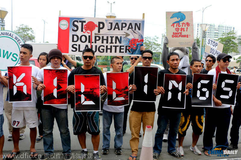 菲律宾环保人士日本使馆前示威 抗议捕杀海豚