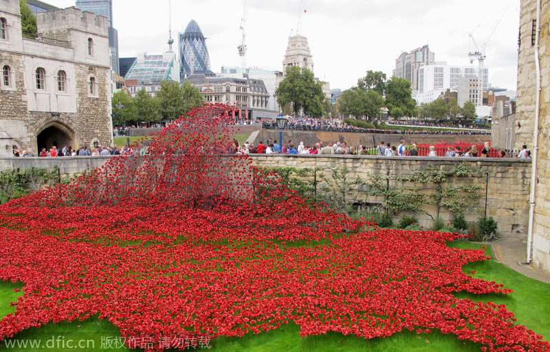 伦敦陶瓷罂粟花海引上千游客参观