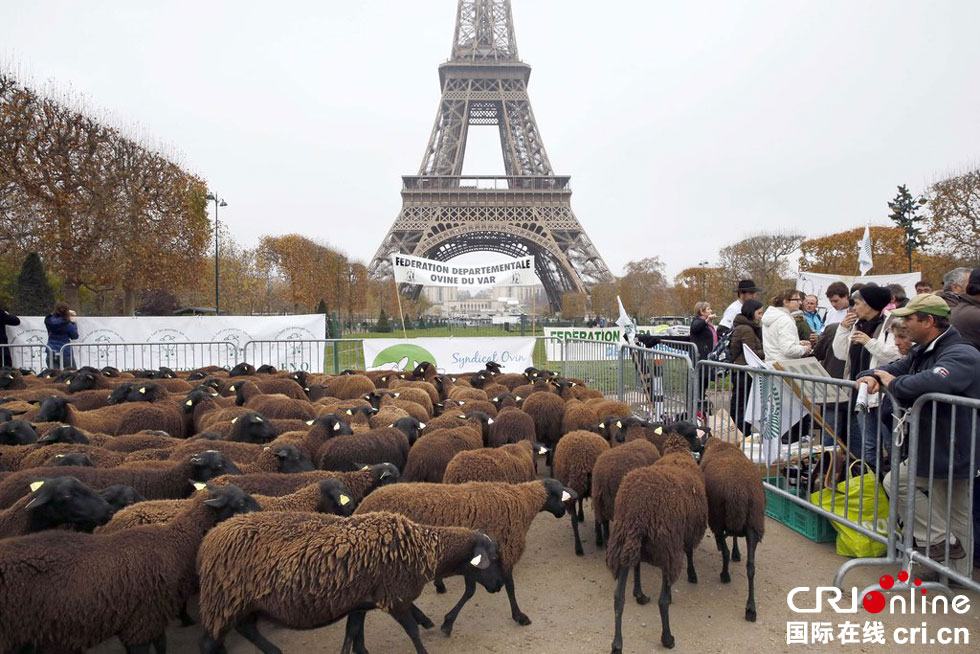 法农民埃菲尔铁塔下放羊 要求解决狼群问题