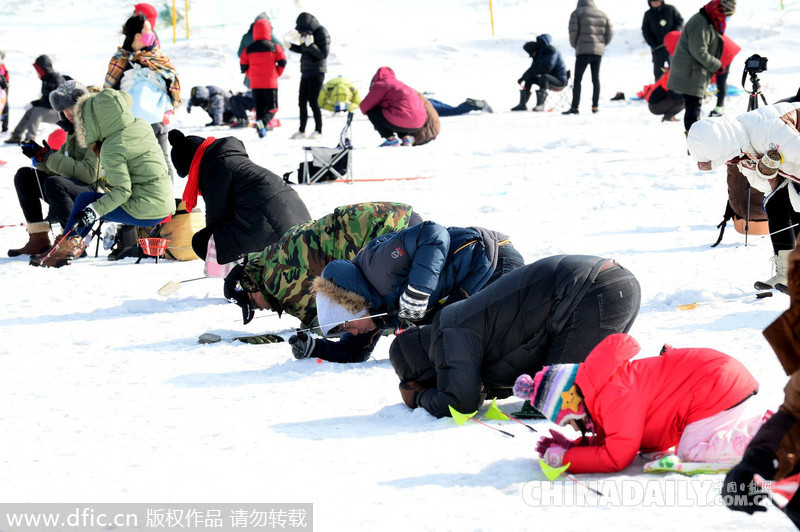韩国平昌鳟鱼节开幕 民众享受冰钓乐趣多