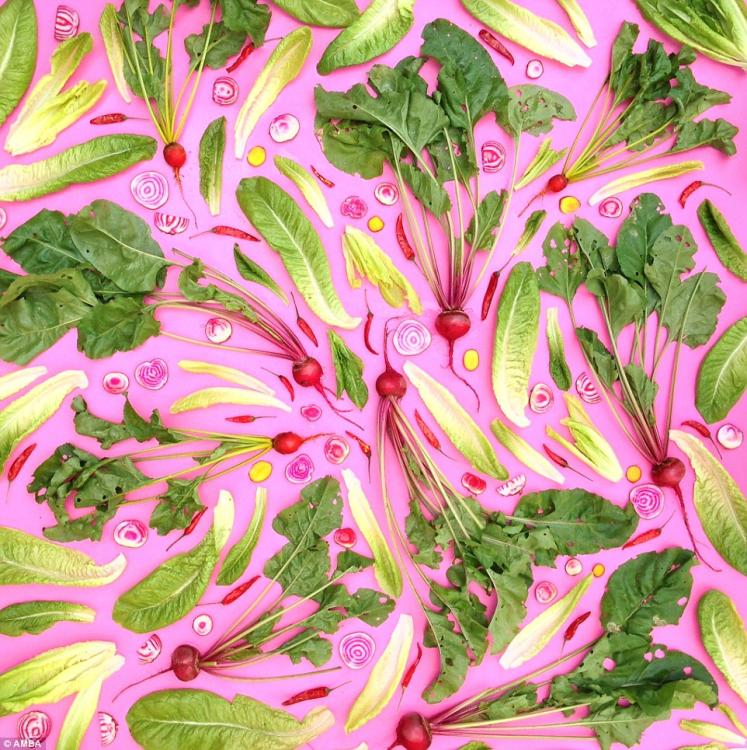 英国艺术家用蔬果作画 宣扬素食主义