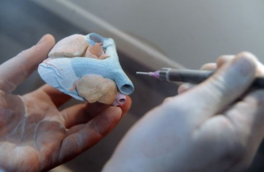 心脏也能打出来？日斥资研发可移植人体器官3D打印