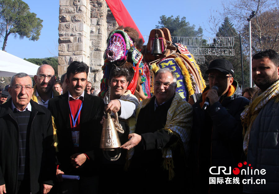 土耳其古城塞尔丘克举办骆驼选美大赛