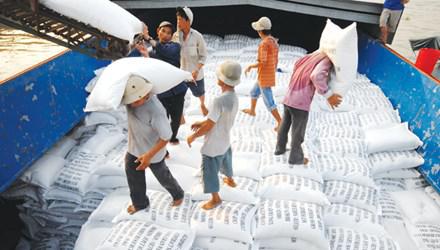 中国加强低价多货源大宗大米进口 越南大米出口将遇阻