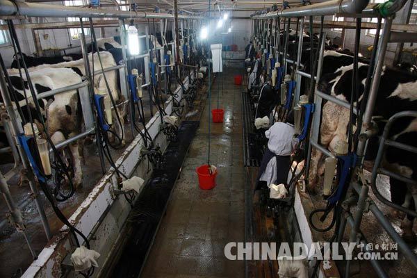欧盟奶商在中国还有机会吗？