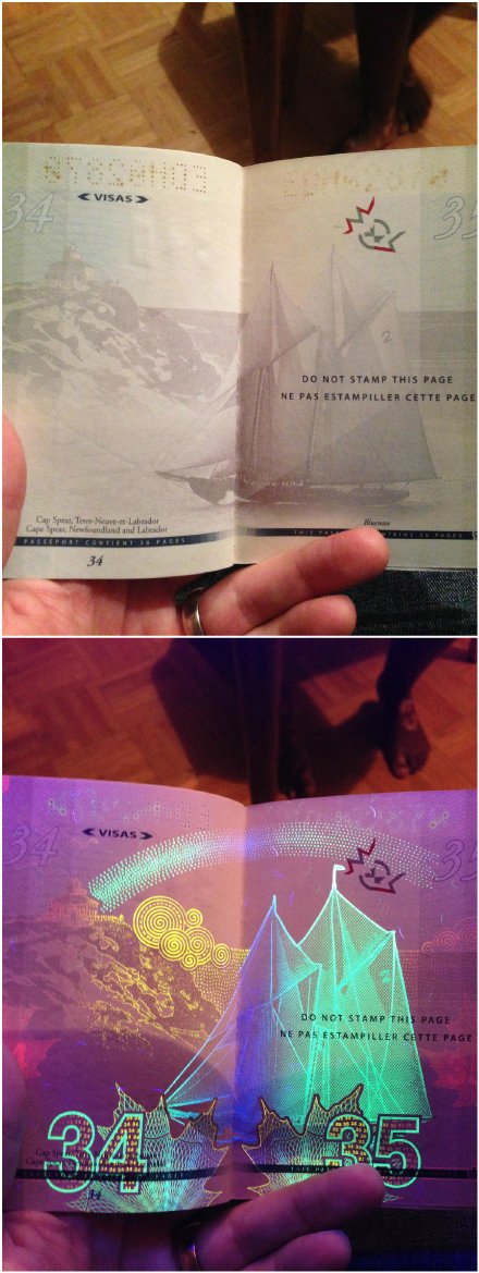 超酷炫！网友展示加拿大护照在紫外灯下效果
