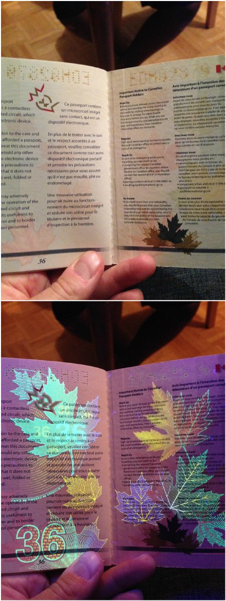 超酷炫！网友展示加拿大护照在紫外灯下效果