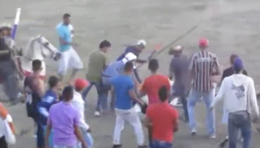 哥伦比亚：斗牛场内活马被观众分尸现场