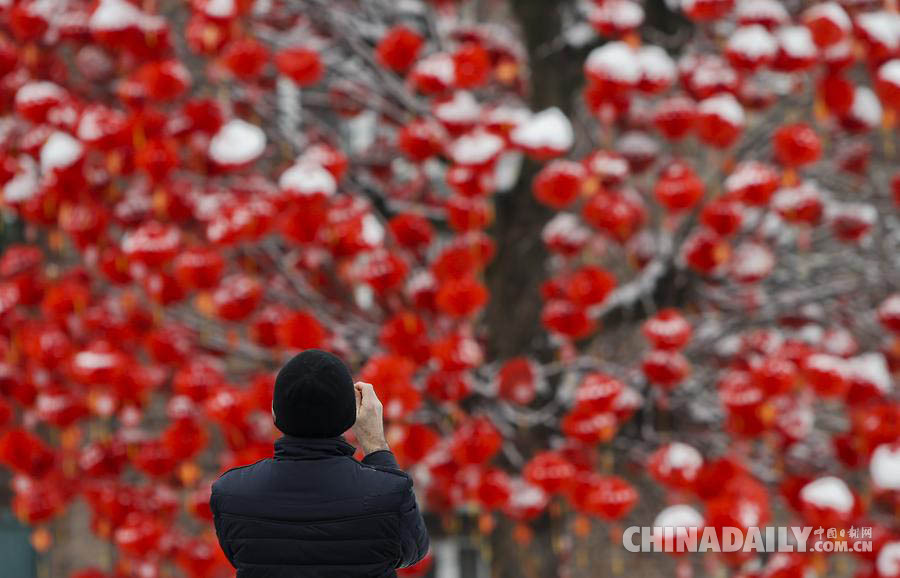 比利时小城“中国年” 2万红灯笼浓浓中国风