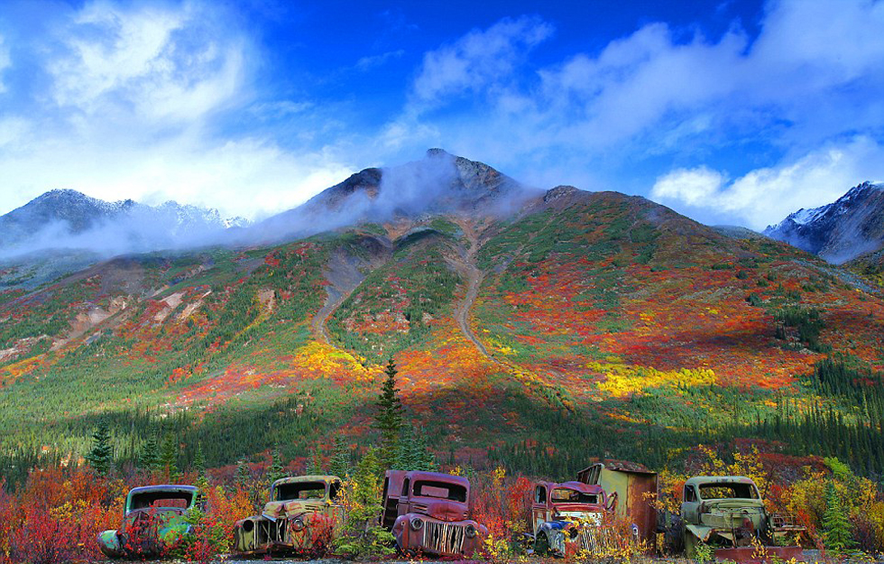 加拿大废弃卡车锈色五彩斑斓 融入自然美景