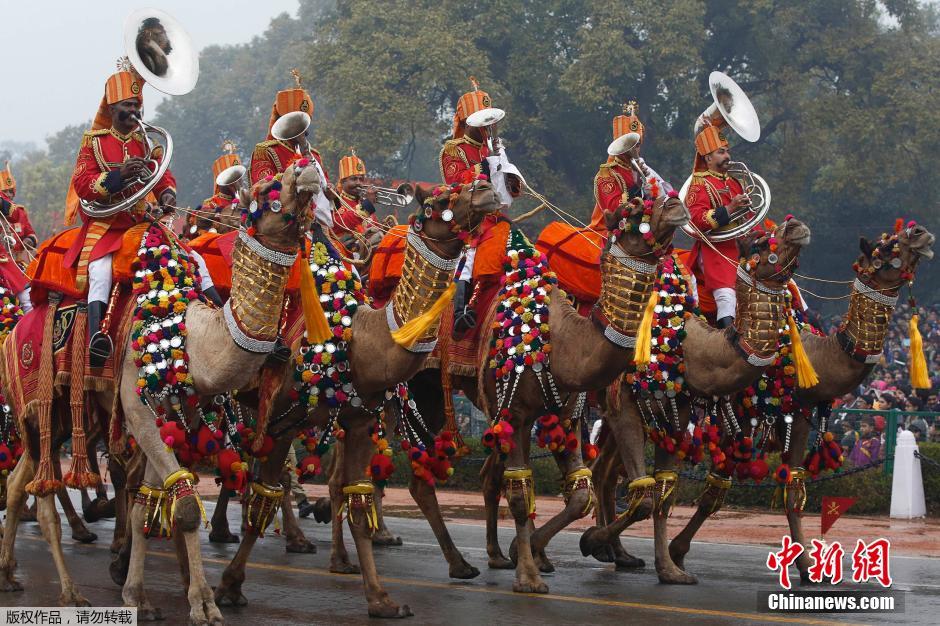 印度庆祝共和日大阅兵 摩托车钻火圈