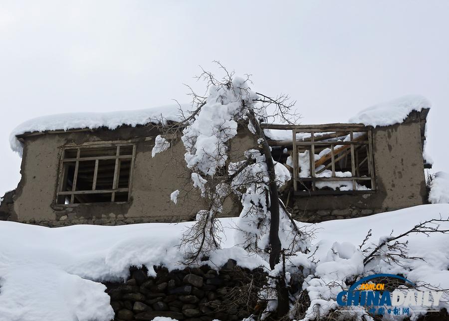 阿富汗暴雪引发雪崩 至少124人死亡