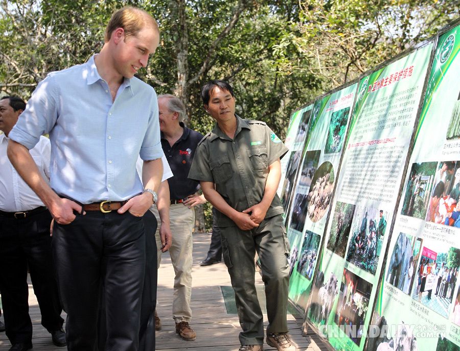 威廉王子在云南西双版纳开展野生动物保护之旅