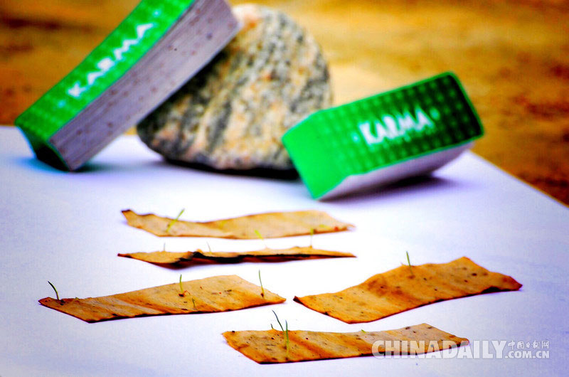 印度公司发明可环保香烟 烟头扔在地上可长成大树