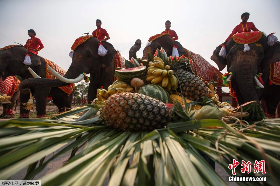 泰国大象共享自助水果盛宴 庆祝国家大象日