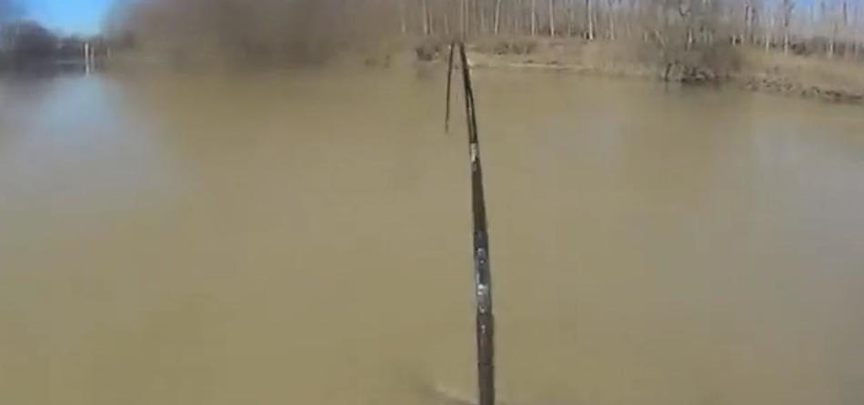 男子钓起3米长大鱼