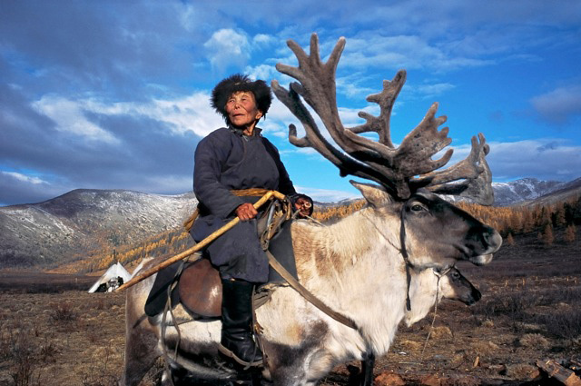 深山里与驯鹿为生的蒙古部落