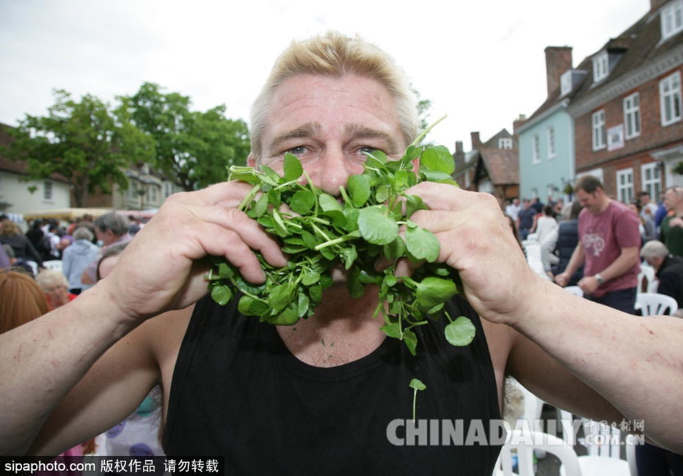 英国庆祝11届豆瓣菜节举办吃豆瓣菜大赛