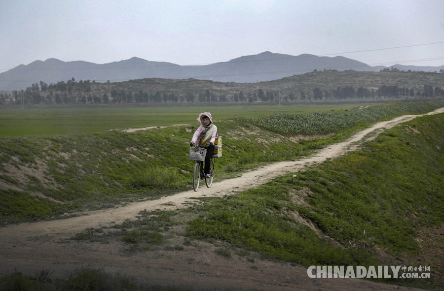 朝鲜遭遇百年以来最严重旱灾 三分之一稻苗枯萎