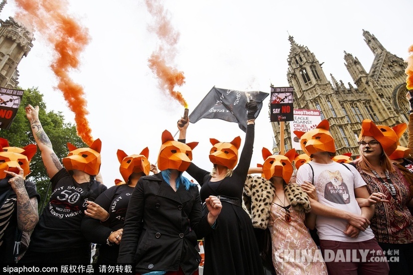 英动物保护者戴狐狸面具游行 反对政府恢复狐狸捕杀