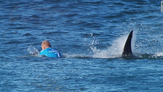 世界冲浪冠军比赛中遇鲨鱼袭击 电视台直播惊险逃生过程