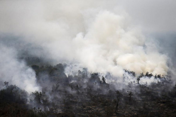 印尼调派千余名军人参与扑灭森林大火