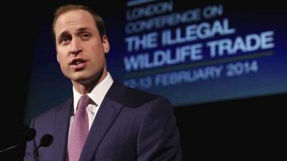 中英加强动植物保护合作 威廉王子将上央视演讲