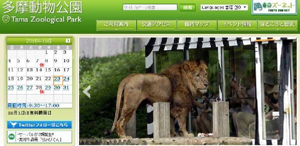 快来看，外国动物园的狮子老虎长啥样？生猛本性咋保持？