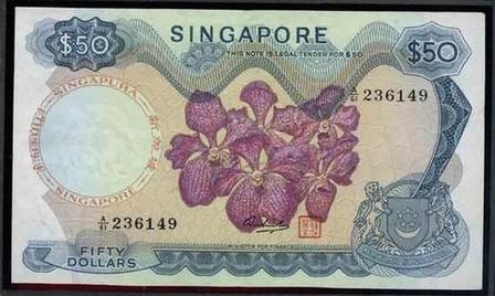 胡姬花是什么花？看新加坡无处不在的胡姬花元素