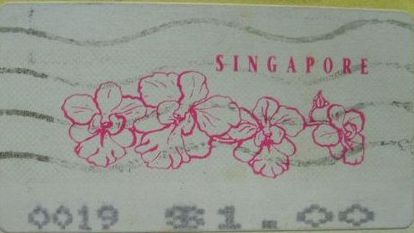 胡姬花是什么花？看新加坡无处不在的胡姬花元素