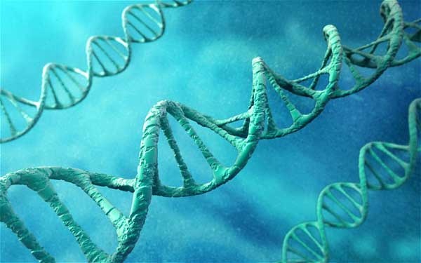 治疗遗传疾病 史上首个转基因人类或于2年内出现