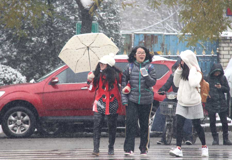 北京：“小雪”节气雪不小
