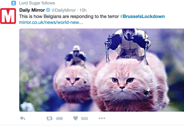 比利时民众网上晒猫 对警方反恐表示“萌萌哒”支持